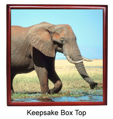 Elephant Keepsake Box