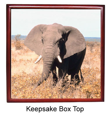 Elephant Keepsake Box