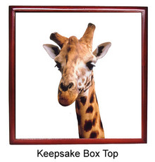 Giraffe Keepsake Box