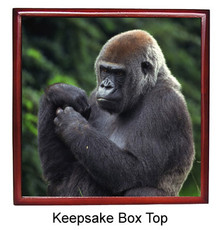 Gorilla Keepsake Box