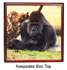 Gorilla Keepsake Box