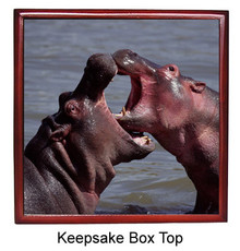 Hippo Keepsake Box