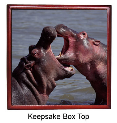 Hippo Keepsake Box
