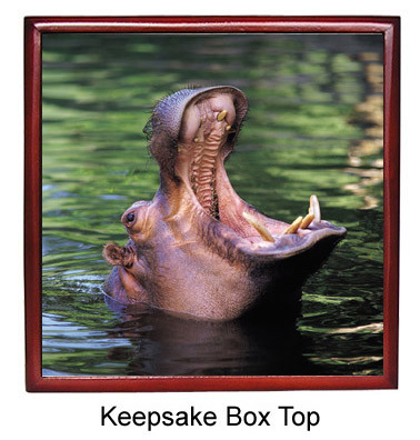Hippo Keepsake Box