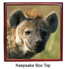 Hyena Keepsake Box