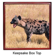 Hyena Keepsake Box