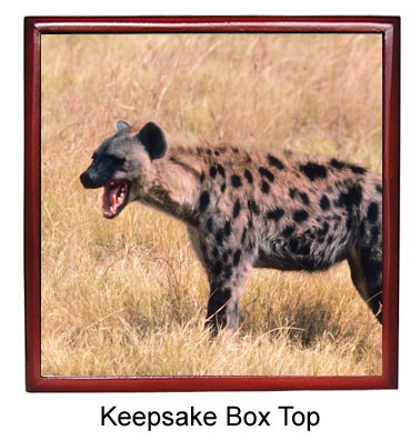 Hyena Keepsake Box