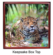 Jaguar Keepsake Box