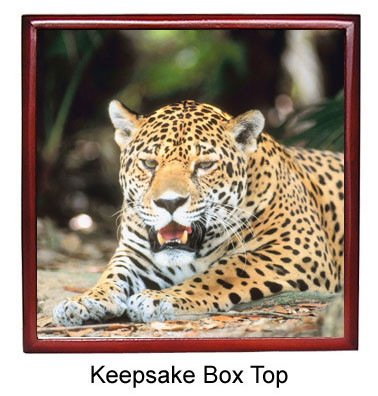 Jaguar Keepsake Box