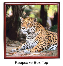 Jaguar Keepsake Box