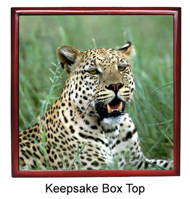 Leopard Keepsake Box