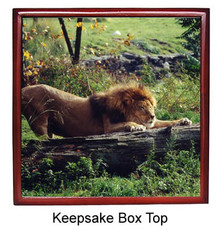 Lion Keepsake Box