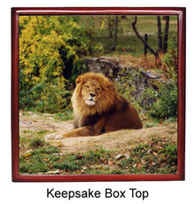 Lion Keepsake Box