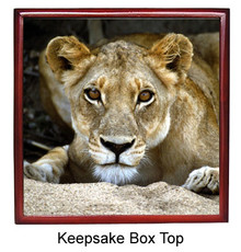 Lion Keepsake Box