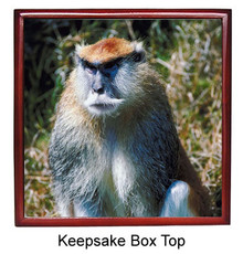 Monkey Keepsake Box