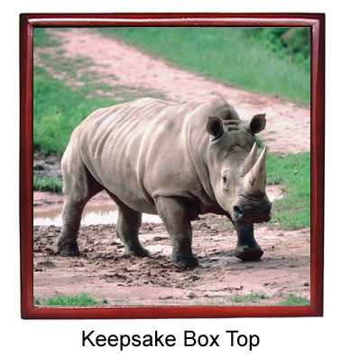 Rhino Keepsake Box