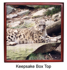 Snow Leopard Keepsake Box
