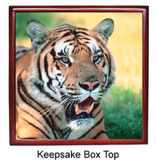 Tiger Keepsake Box