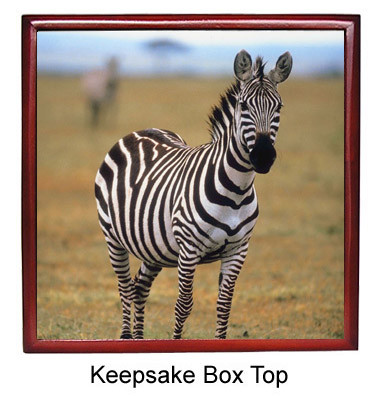 Zebra Keepsake Box