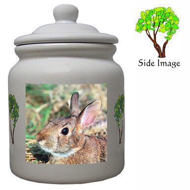 Rabbit Ceramic Color Cookie Jar
