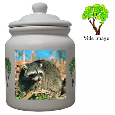Raccoon Ceramic Color Cookie Jar