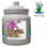 Gecko Ceramic Color Cookie Jar