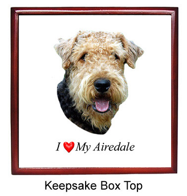 Airedale Keepsake Box