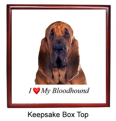 Bloodhound Keepsake Box