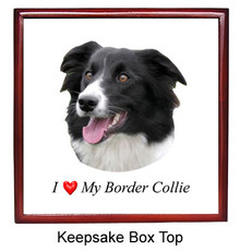Border Collie Keepsake Box