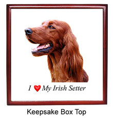 Irish Setter Keepsake Box