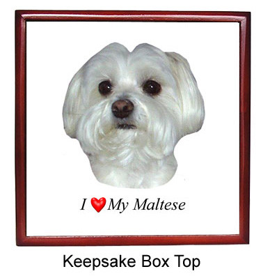 Maltese Keepsake Box