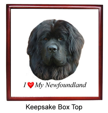 Newfoundland Keepsake Box