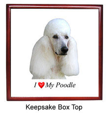 Poodle Keepsake Box