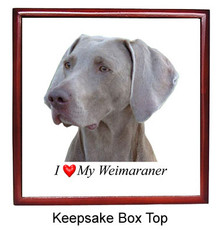 Weimaraner Keepsake Box