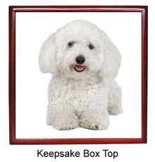 Bichon Keepsake Box