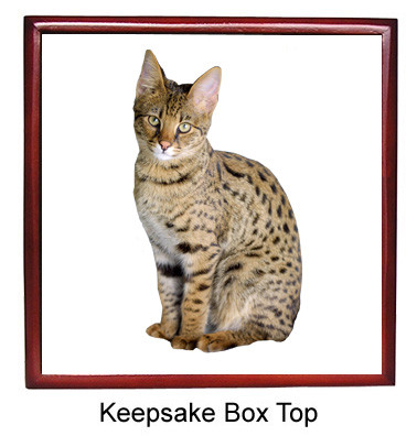 Savannah Keepsake Box