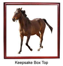 Arabian Keepsake Box