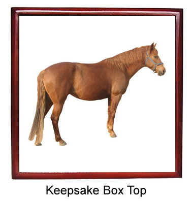 Barb Keepsake Box