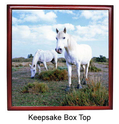 Camargue Keepsake Box