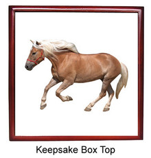 Haflinger Keepsake Box