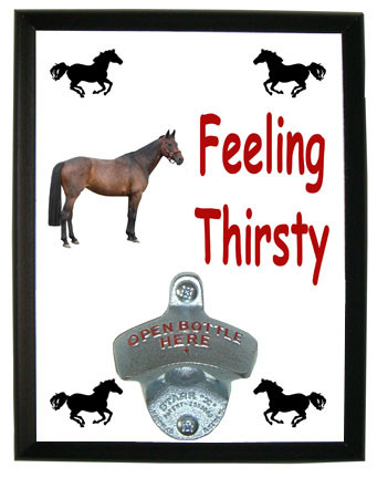 Oldenburg Feeling Thirsty Bottle Opener Plaque