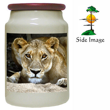 Lion Canister Jar