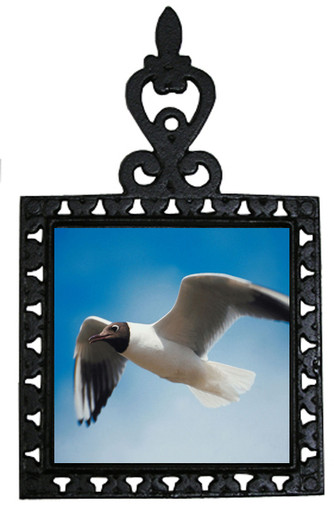 Black Headed Gull Iron Trivet