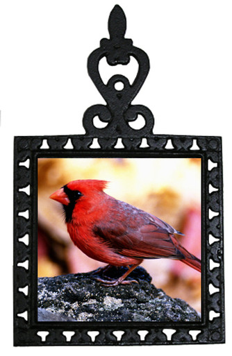 Cardinal Iron Trivet