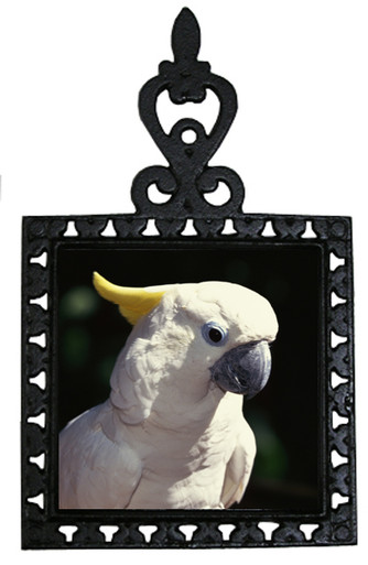 Cockatoo Iron Trivet