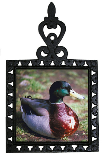 Duck Iron Trivet