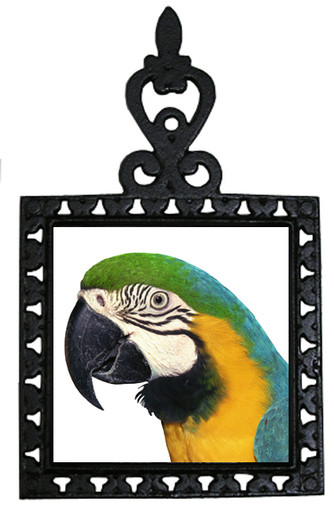 Macaw Iron Trivet
