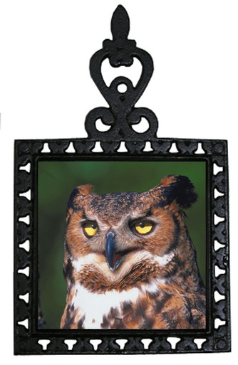 Great Horned Owl Iron Trivet