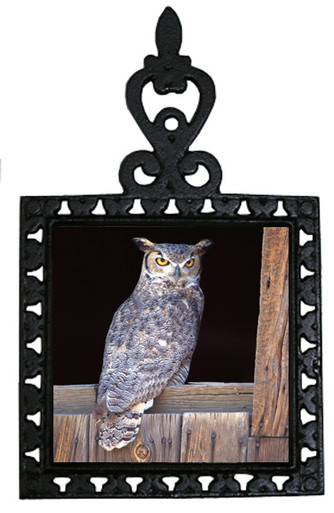 Great Horned Owl Iron Trivet