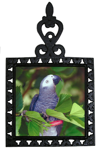 African Grey Parrot Iron Trivet